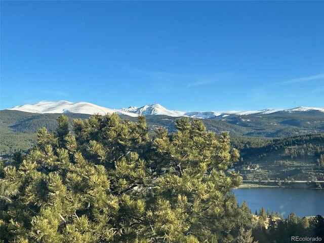 45 Alpine Dr, Nederland, CO 80466 - photo 5