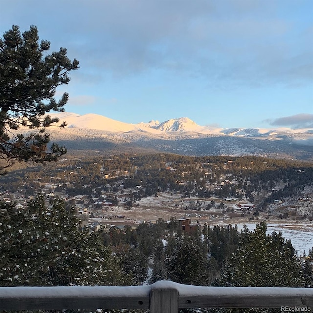 45 Alpine Dr, Nederland, CO 80466 - photo 45