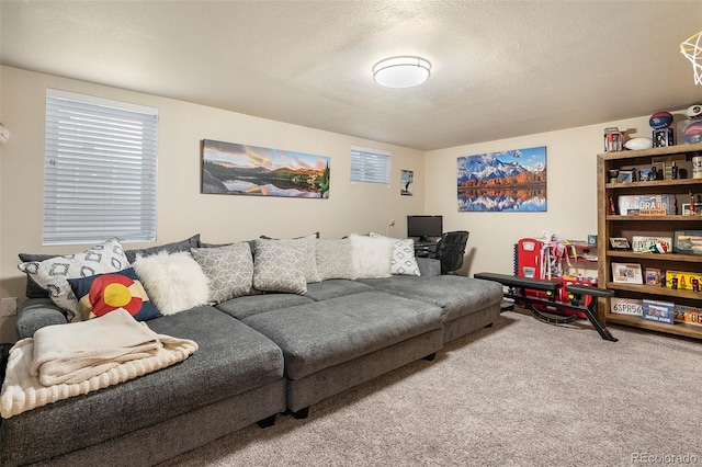 carpeted living room featuring a textured ceiling