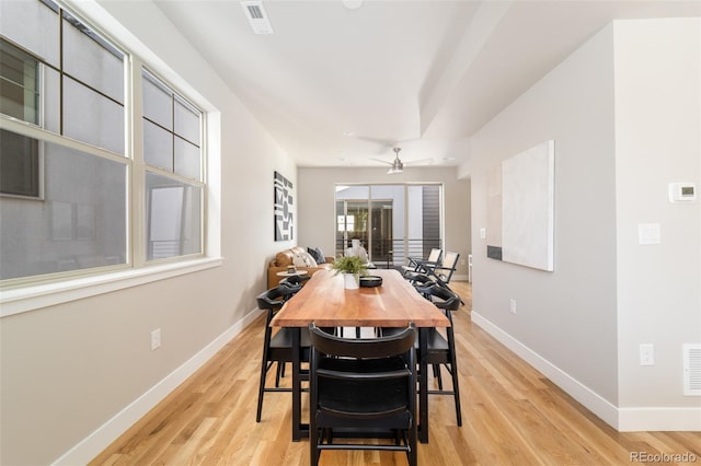 dining room featuring ceiling fan and light wood-type flooring