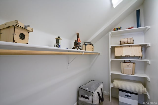 8721 E 23rd Ave, Denver, CO 80238 - walk in closet featuring carpet flooring