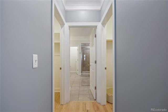 8721 E 23rd Ave, Denver, CO 80238 - corridor featuring ornamental molding and light wood-style flooring