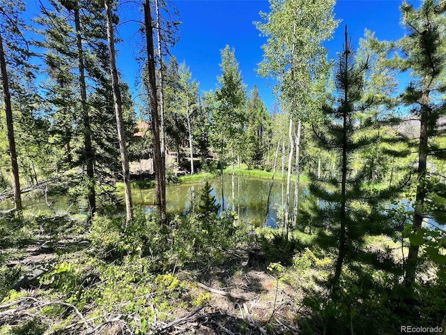 Listing photo 3 for 134 Mad Moose Ln, Grand Lake CO 80447