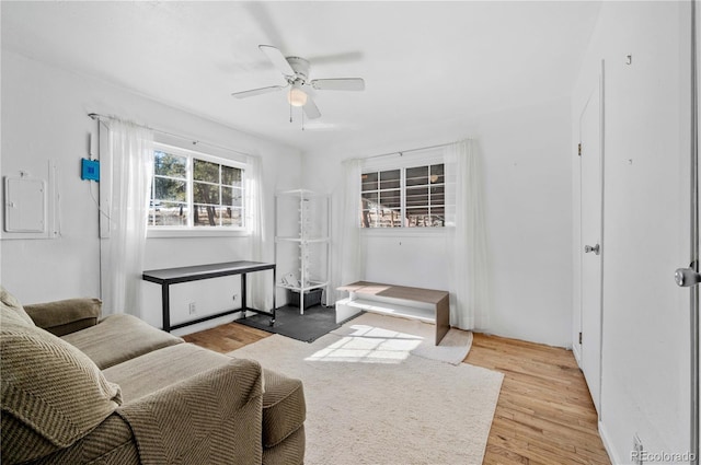living area with electric panel, light wood-type flooring, and a ceiling fan