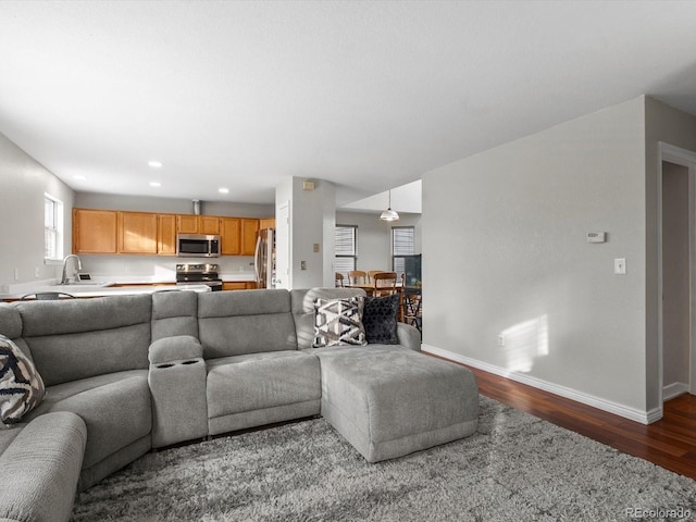 living room with sink and hardwood / wood-style flooring