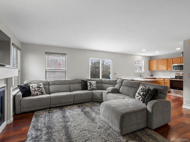 living room with dark hardwood / wood-style flooring and sink