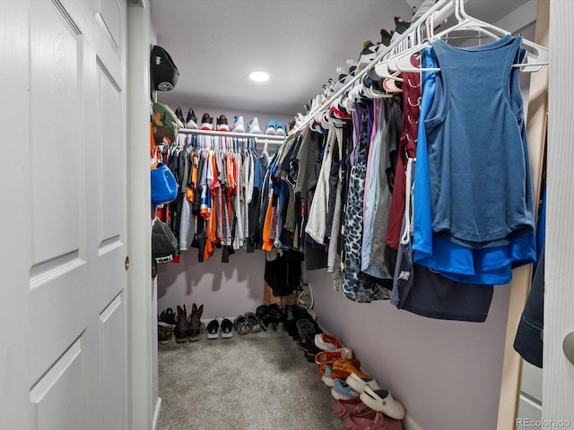 walk in closet featuring carpet flooring