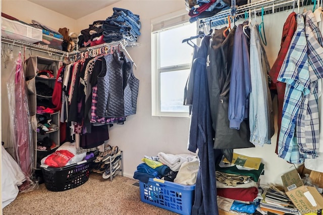 14389 E 101st Pl, Commerce City, CO 80022 - walk in closet with carpet floors