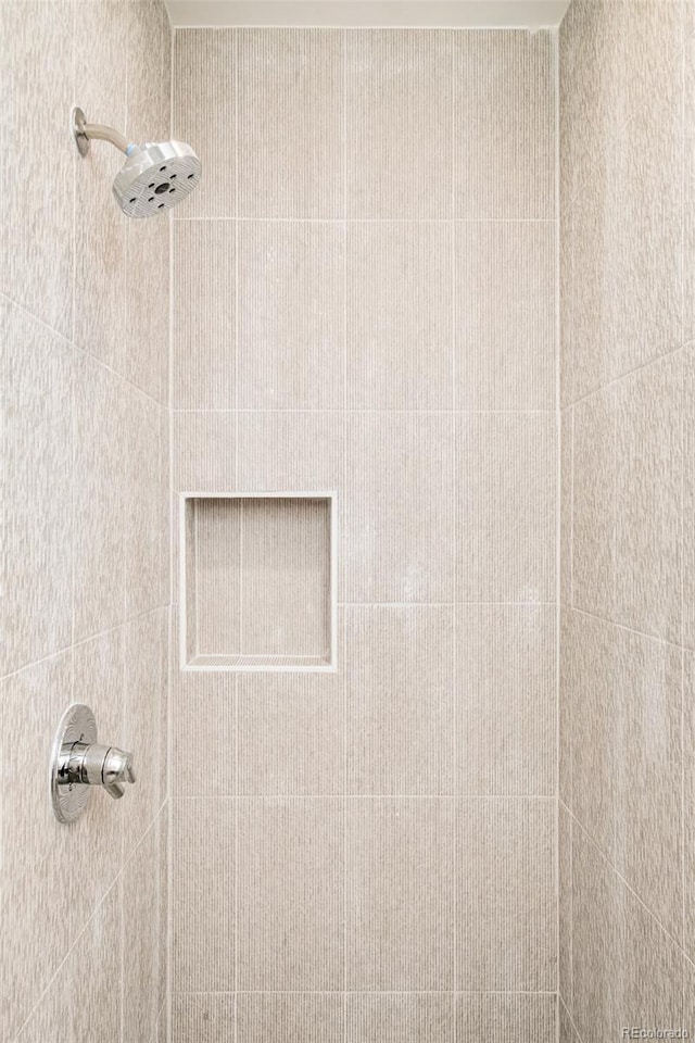 interior details featuring a tile shower