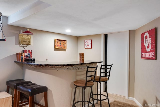 bar featuring carpet floors