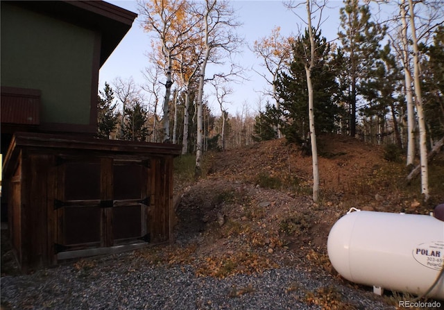 view of yard featuring a storage unit