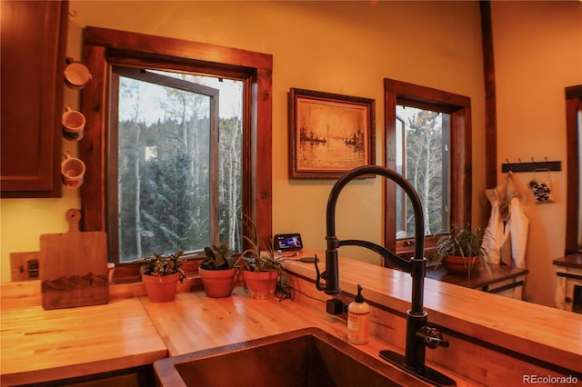 room details with wood counters and sink