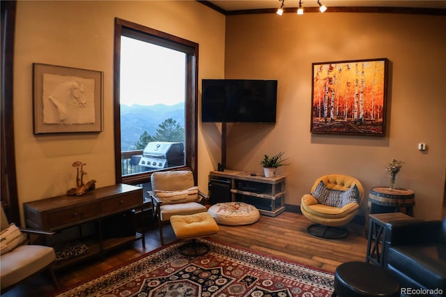 living area featuring hardwood / wood-style floors and ornamental molding