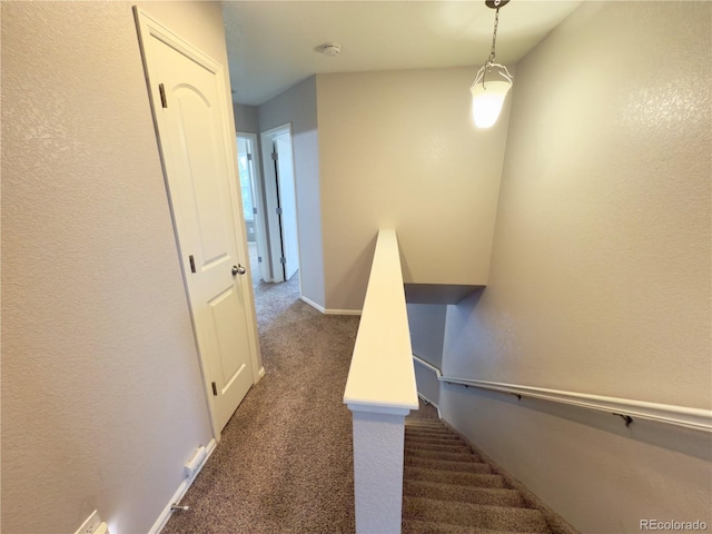 11590 River Oaks Ln, Commerce City, CO 80640 - photo 12