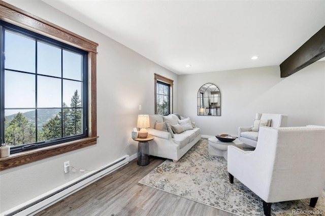 11390 Shimley Rd, Golden, CO 80403 - living area with a baseboard radiator, wood finished floors, baseboards, and recessed lighting