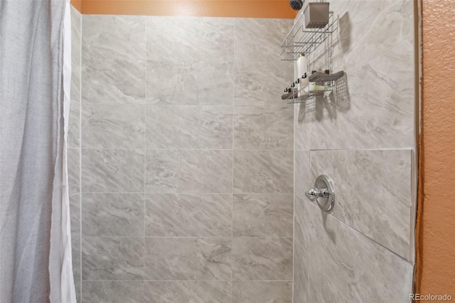 11390 Shimley Rd, Golden, CO 80403 - full bath with tiled shower