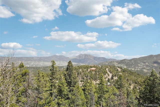 11390 Shimley Rd, Golden, CO 80403 - mountain view with a forest