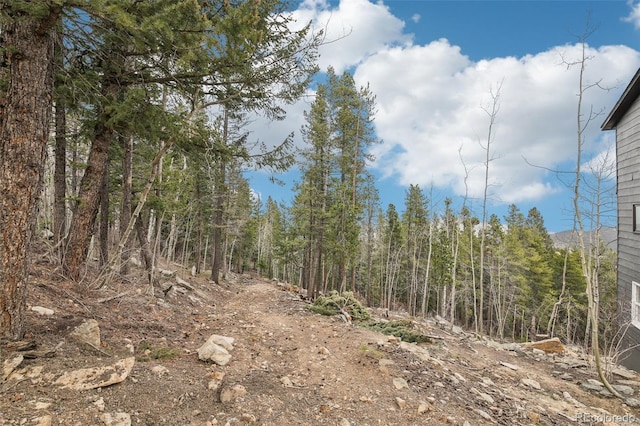 11390 Shimley Rd, Golden, CO 80403 - view of undeveloped land