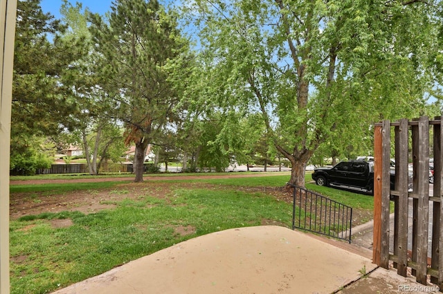 3619 Queen Anne Way, Colorado Springs, CO 80917 - view of yard