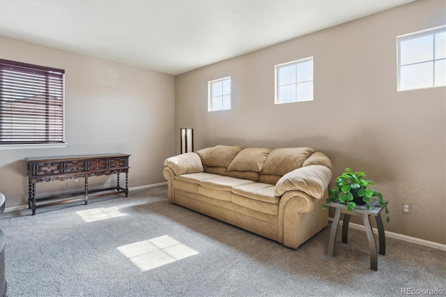 3978 Aspen Hollow Ct, Castle Rock, CO 80104 - photo 18