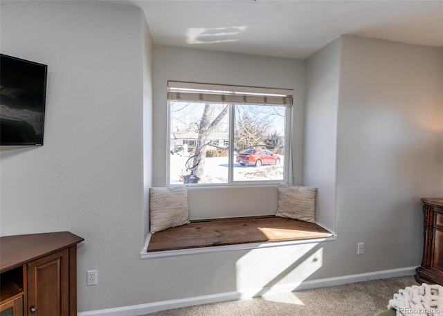 interior space featuring carpet floors