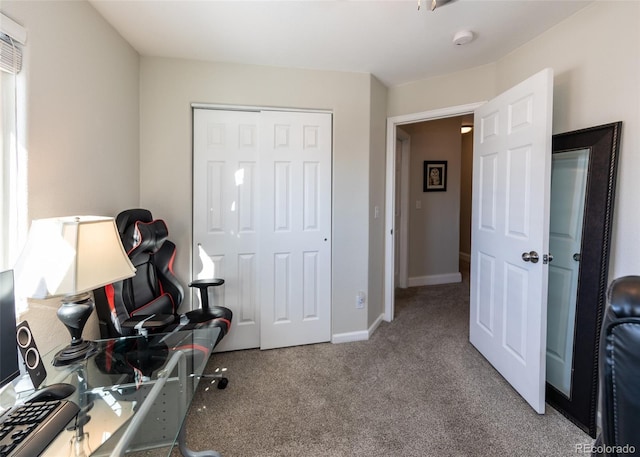 interior space with carpet floors