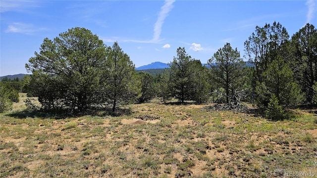 29780 County Road 16, Trinidad CO, 81082 land for sale