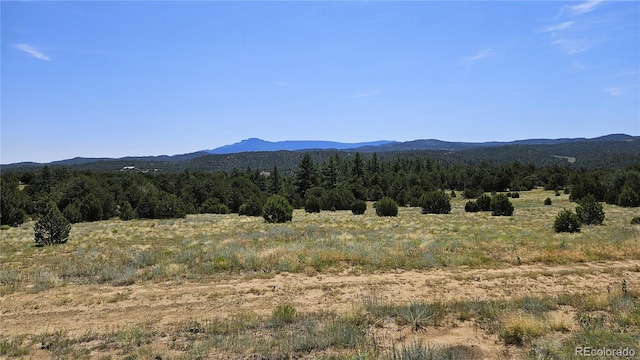 Listing photo 2 for 29780 County Road 16, Trinidad CO 81082