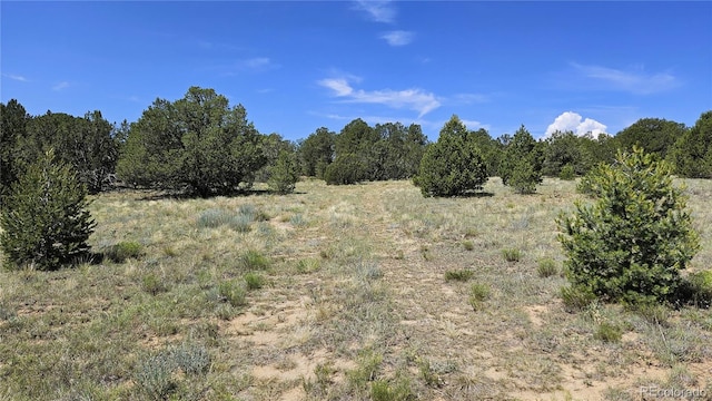 Listing photo 3 for 29780 County Road 16, Trinidad CO 81082