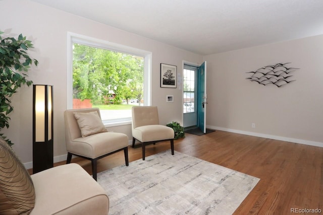 10420 Marion St, Northglenn, CO 80233 - living area featuring wood finished floors and baseboards