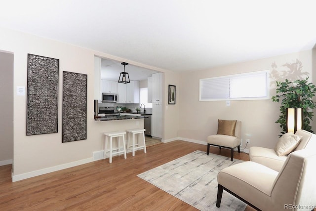 10420 Marion St, Northglenn, CO 80233 - living area with light wood-type flooring and baseboards