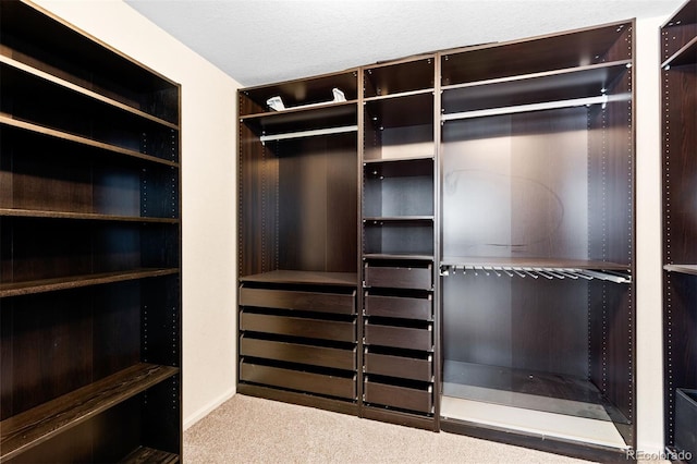 spacious closet with carpet flooring