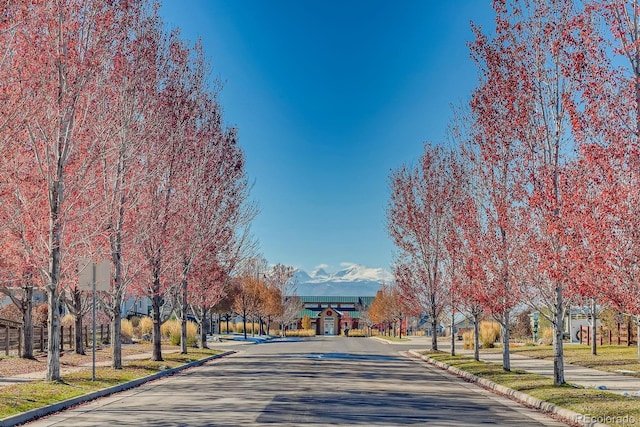 view of street featuring curbs and sidewalks
