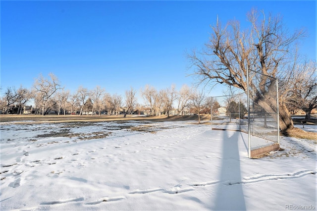 view of yard covered in snow