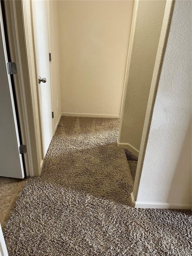 hallway with carpet floors