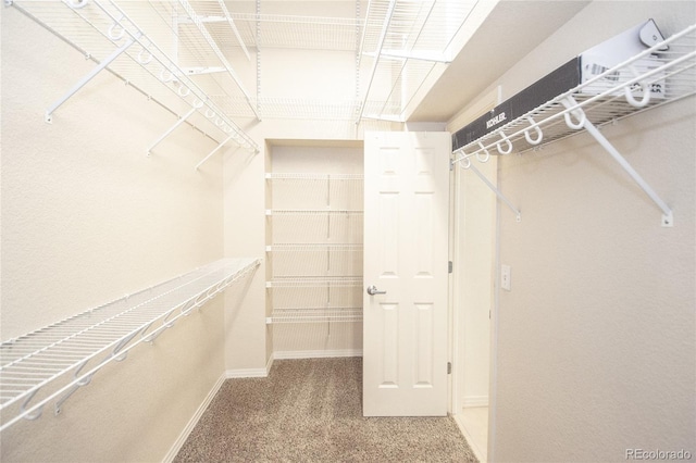 17672 E Weaver Pl, Aurora, CO 80016 - walk in closet with carpet floors