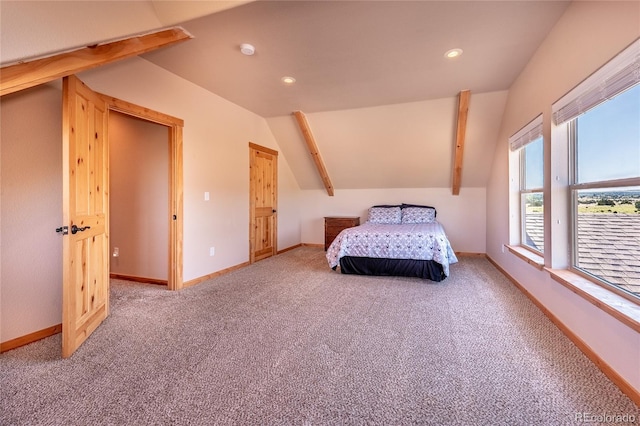 12305 Kunzite Rd, Trinidad, CO 81082 - photo 17