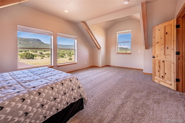 12305 Kunzite Rd, Trinidad, CO 81082 - photo 18
