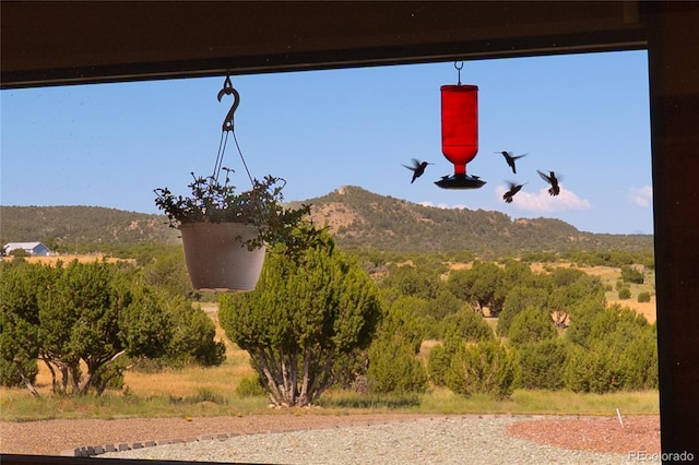 12305 Kunzite Rd, Trinidad, CO 81082 - photo 36