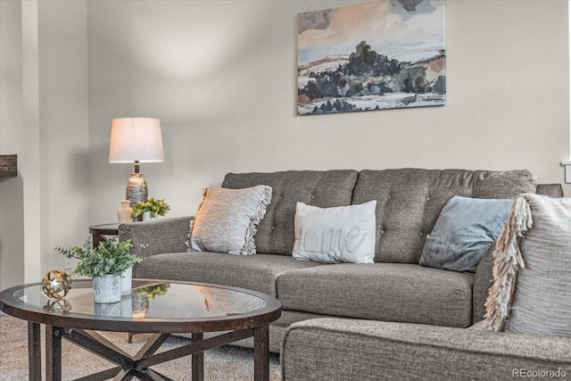 3372 Central Park Blvd, Denver, CO 80238 - view of living room