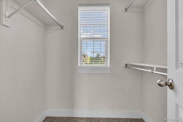 3372 Central Park Blvd, Denver, CO 80238 - view of walk in closet