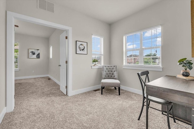 3372 Central Park Blvd, Denver, CO 80238 - office space featuring carpet and baseboards