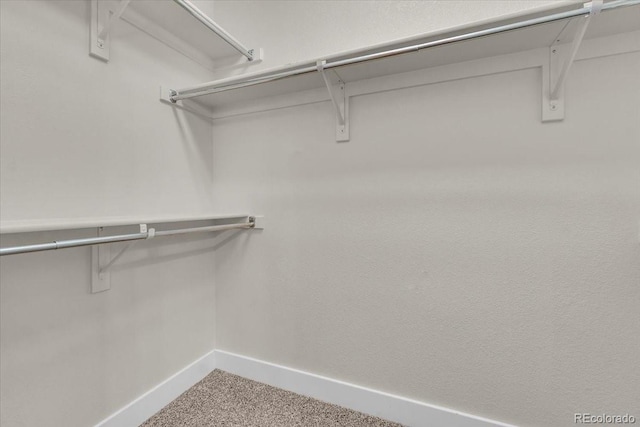 3372 Central Park Blvd, Denver, CO 80238 - spacious closet with carpet