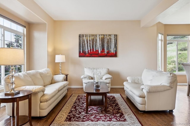 living area featuring baseboards and wood finished floors