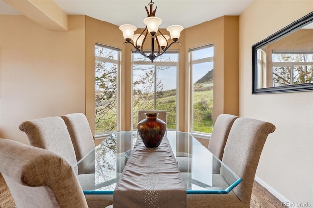dining room with a wealth of natural light, a notable chandelier, and wood finished floors