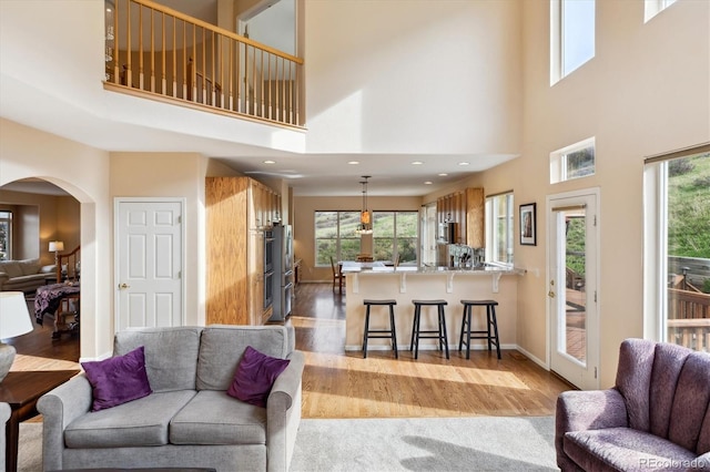 living room with a high ceiling, plenty of natural light, and wood finished floors