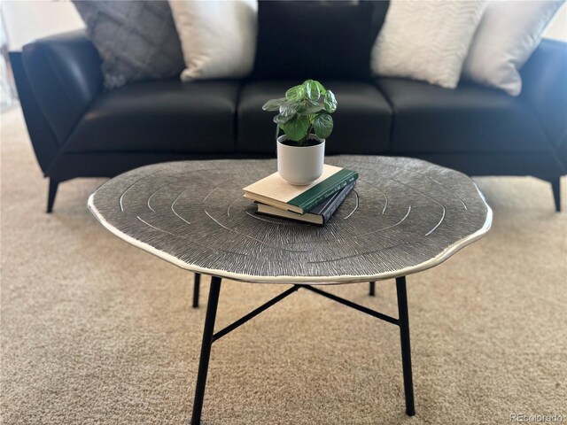 1496 S Pierson St Unit 116, Denver, CO 80232 - living room featuring carpet flooring