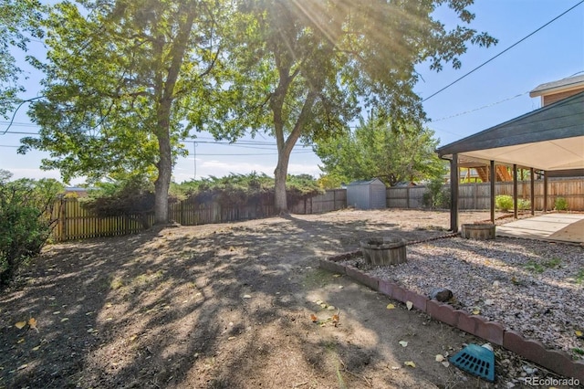 view of yard with a storage unit