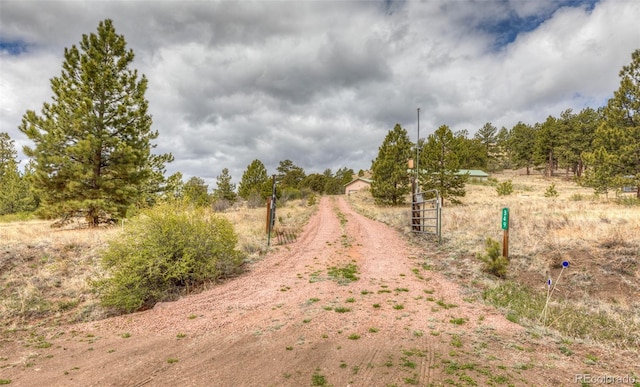 349 Post Rd, Guffey, CO 80820 - photo 3