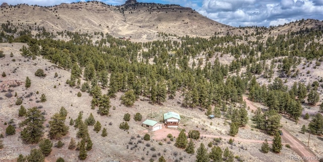349 Post Rd, Guffey, CO 80820 - photo 50